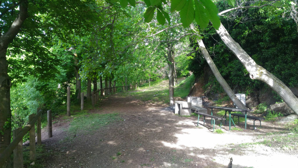 Circocampeggio a Busca / Parco Ernesto Francotto - Festival Mirabilia 2018