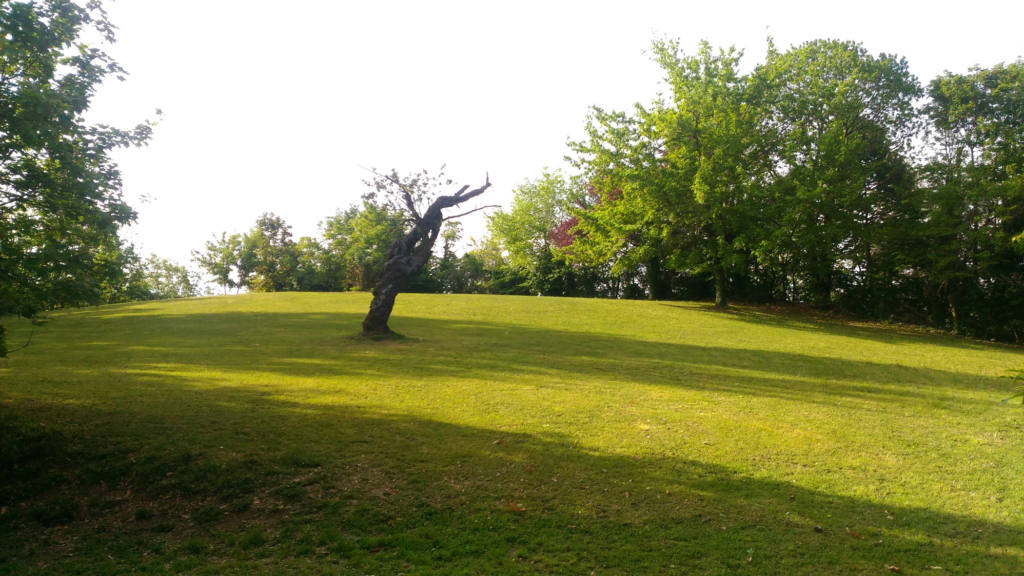 Circocampeggio a Busca / Parco Ernesto Francotto - Festival Mirabilia 2018